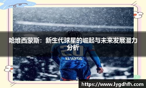 熊猫体育平台