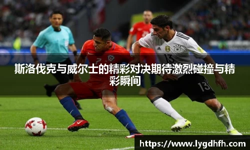 斯洛伐克与威尔士的精彩对决期待激烈碰撞与精彩瞬间
