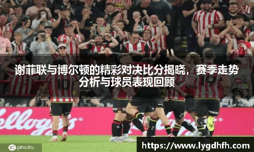 熊猫体育
