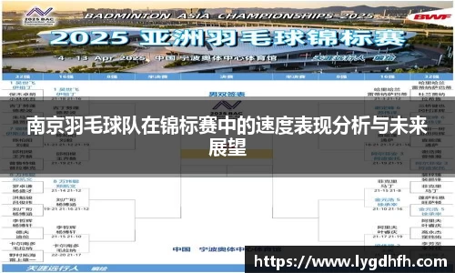 南京羽毛球队在锦标赛中的速度表现分析与未来展望