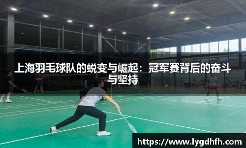 上海羽毛球队的蜕变与崛起：冠军赛背后的奋斗与坚持