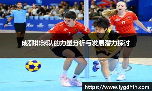 成都排球队的力量分析与发展潜力探讨
